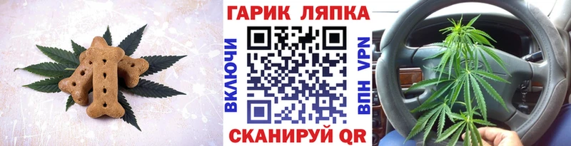 хочу наркоту  Южа  hydra tor  Canna-Cookies марихуана 