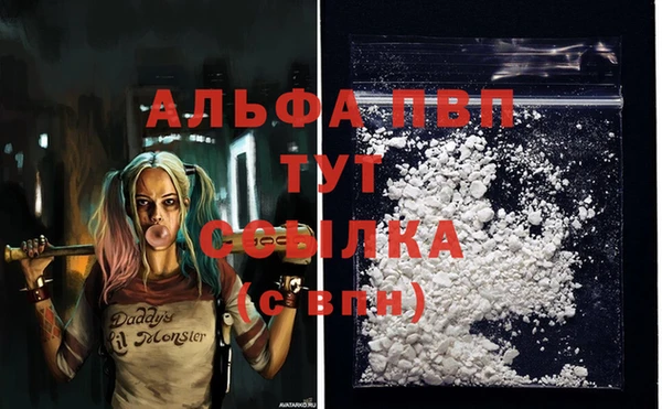 не бодяженный Новодвинск