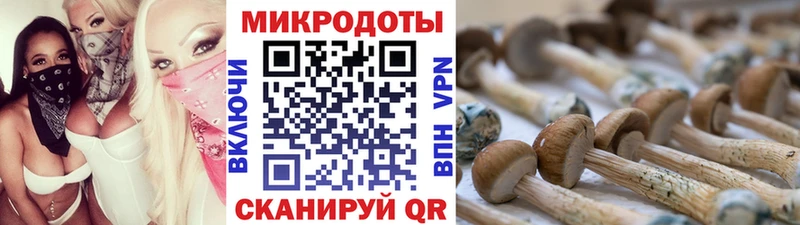 Псилоцибиновые грибы GOLDEN TEACHER  Южа 